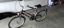 Rower damski Victus