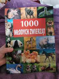 Książka 100 Młodych zwierząt