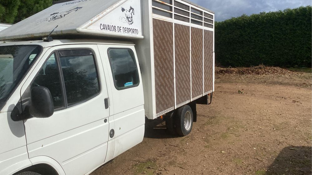 Transporte animais cavalos