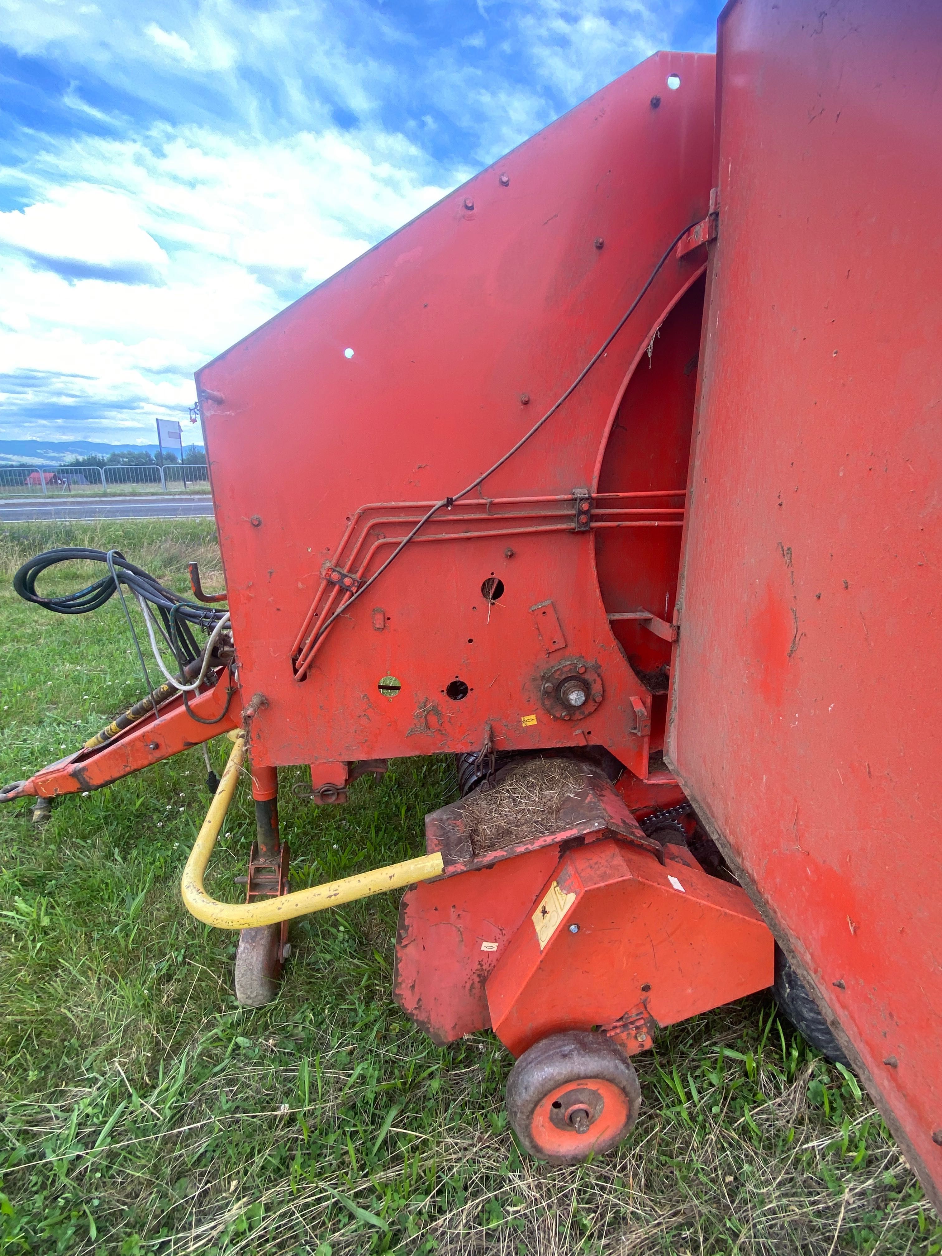 Sprzedam prase sipma z276/1