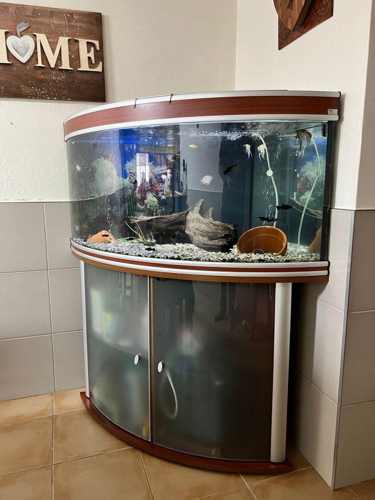 Aquario com movel panoramico