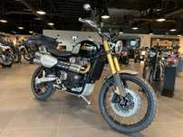 Triumph Scrambler 1200 XE Icon Edition
