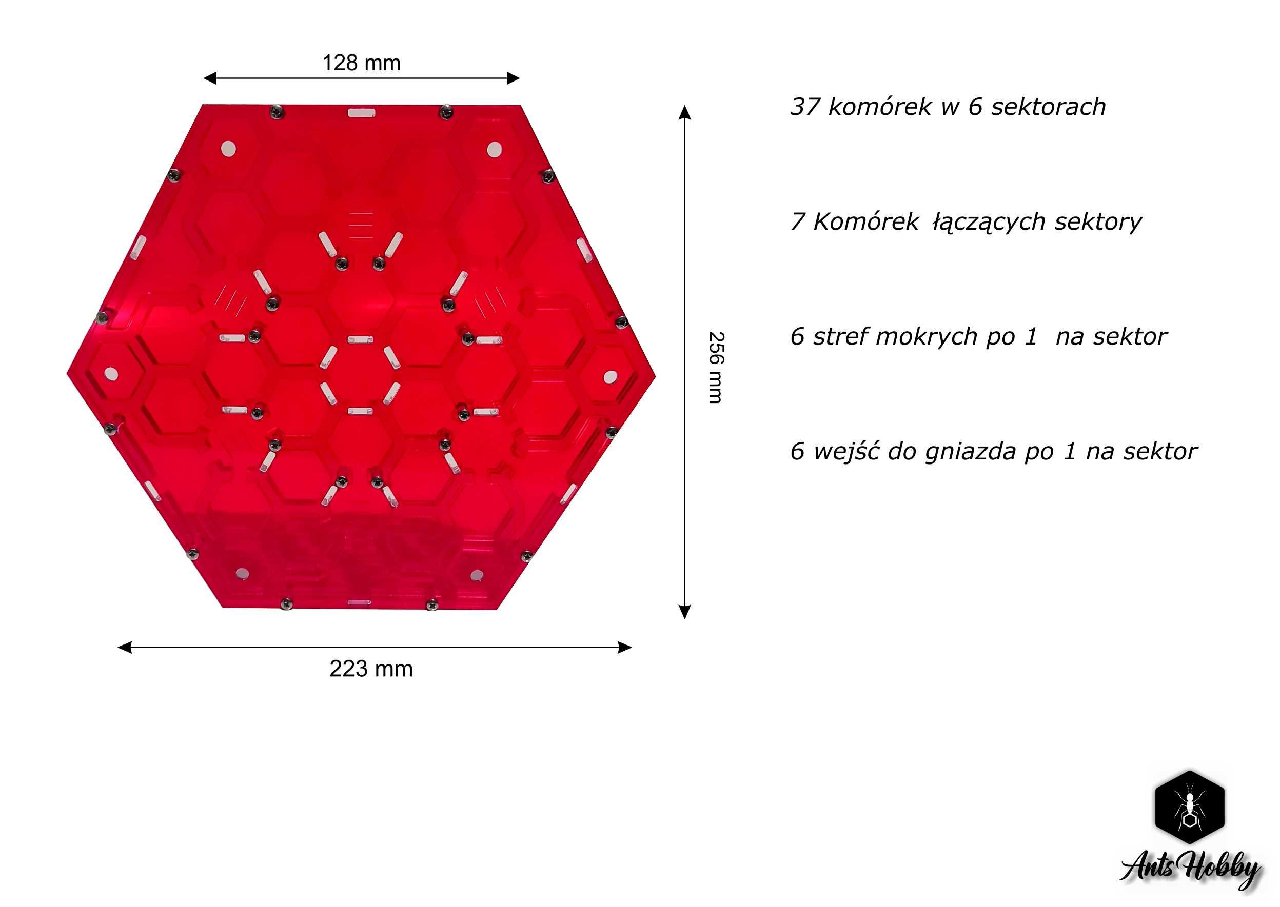 Gniazdo dla mrówek- PLASTER MIODU