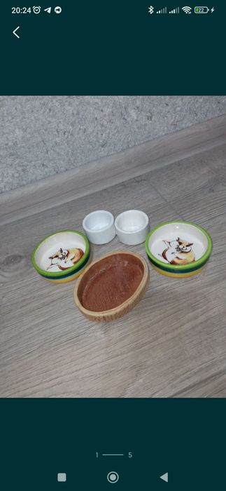 Шар для прогулки