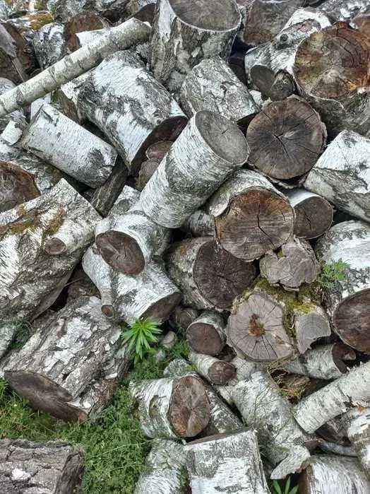 Drewno kominkowe opałowe kominka brzoza 20kg 80L kawałki wysyłka suche