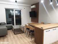 Na wynajem ekskluzywny apartamentz ogrodem  ul. Skrzydlata  Mielec