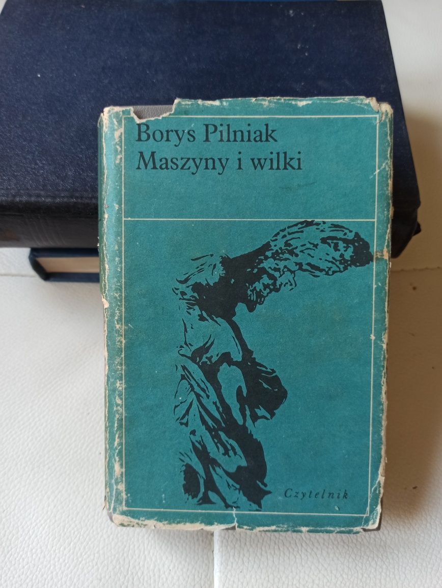 Pilniak maszyny i wilki