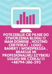 zlece wykonanie witryny bloga na wordprees
