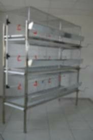 Клітки для курей.