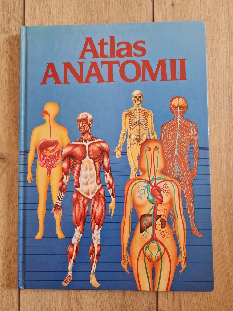 Atlas Anatomii. Dr Ortega