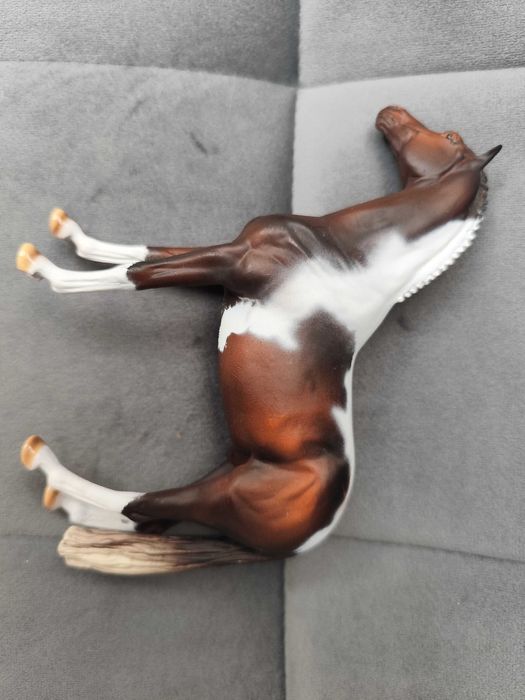 Lancelot rezerwacja dla Tornado.M