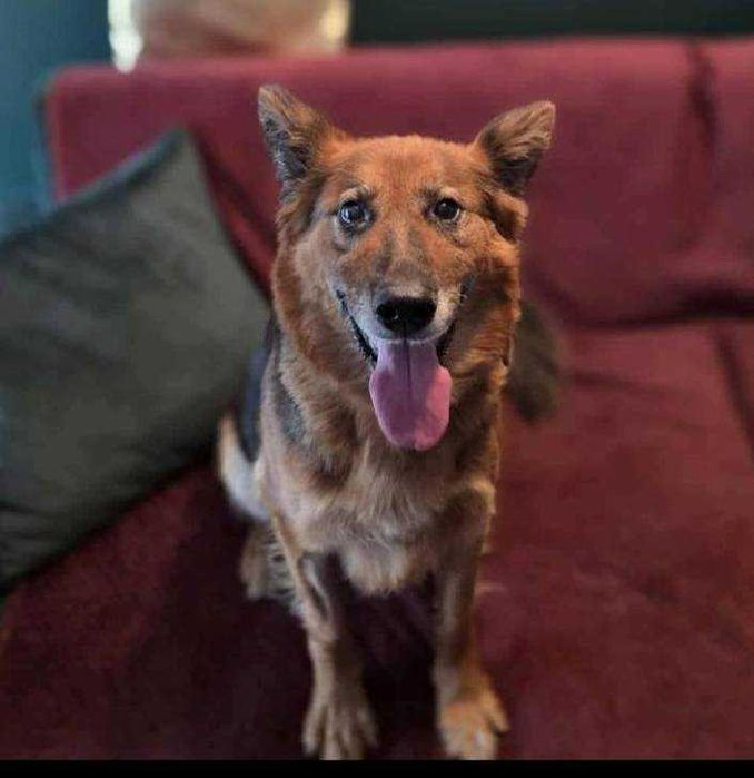 RAJA bardzo prosi o dom