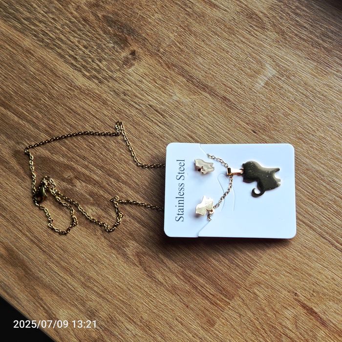 Nowy komplet stal nierdzewna kolczyki plus kolczyki kotki