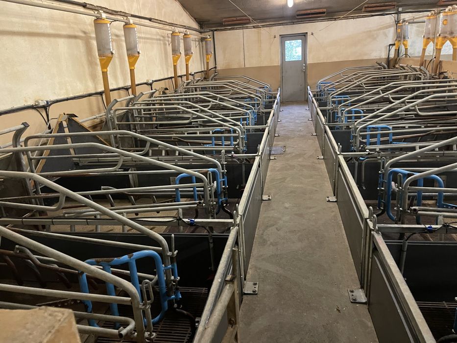 Kojce porodowe - NOWA DOSTAWA - 150 sztuk