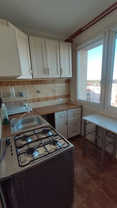 Mieszkanie na wynajem/ Apartment for rent / Квартира в аренду