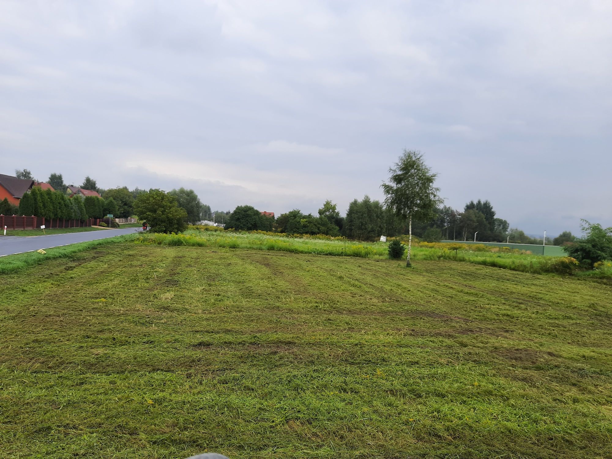 Usługi koszenia kosiarka bijakową