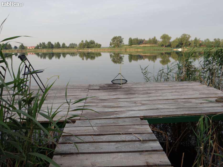 Dom domek nad jeziorem, Krzewent, Kujawsko-Pomorskie, wędkowanie