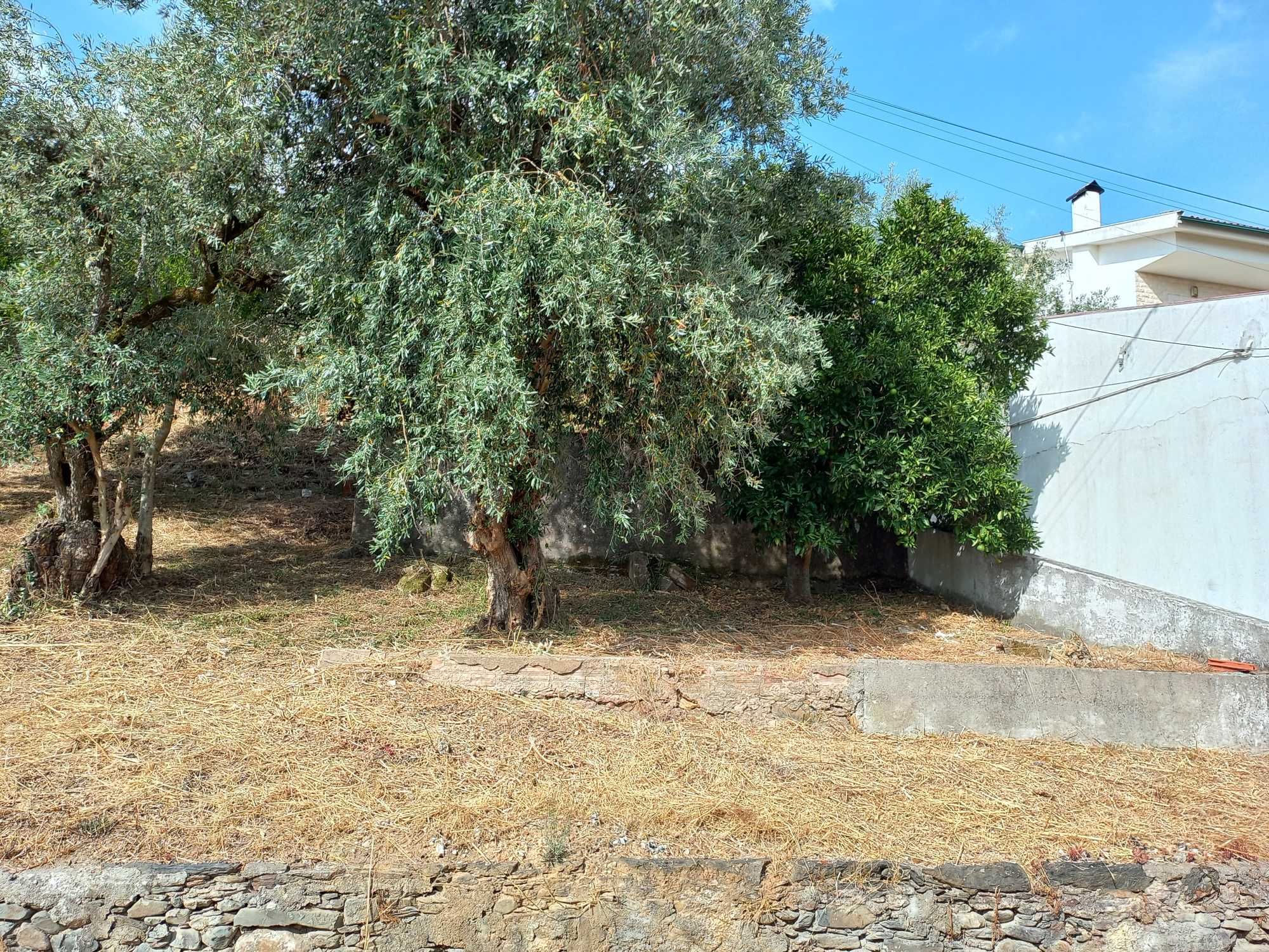 TERRENO Urbano com viabilidade para construção