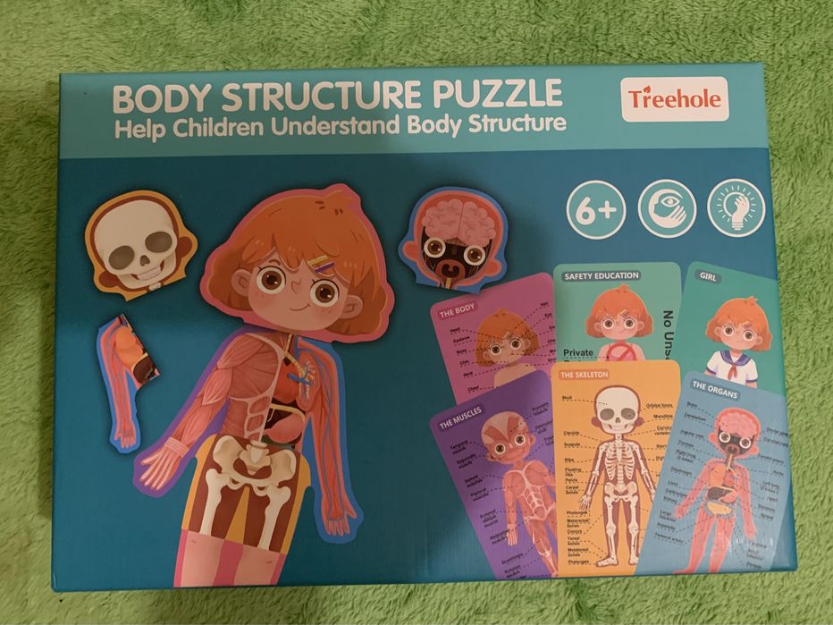 Тіло людини Розвиваючі пазли
