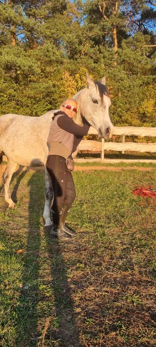 Arabek szuka nowego właściciela