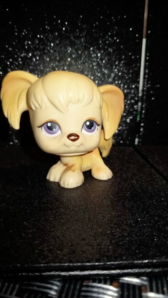 LPS Spaniel #291 Unikat Hasbro