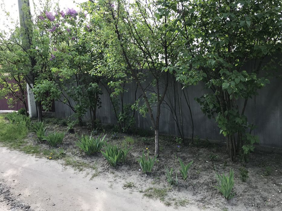 Земельный участок в Тростянце