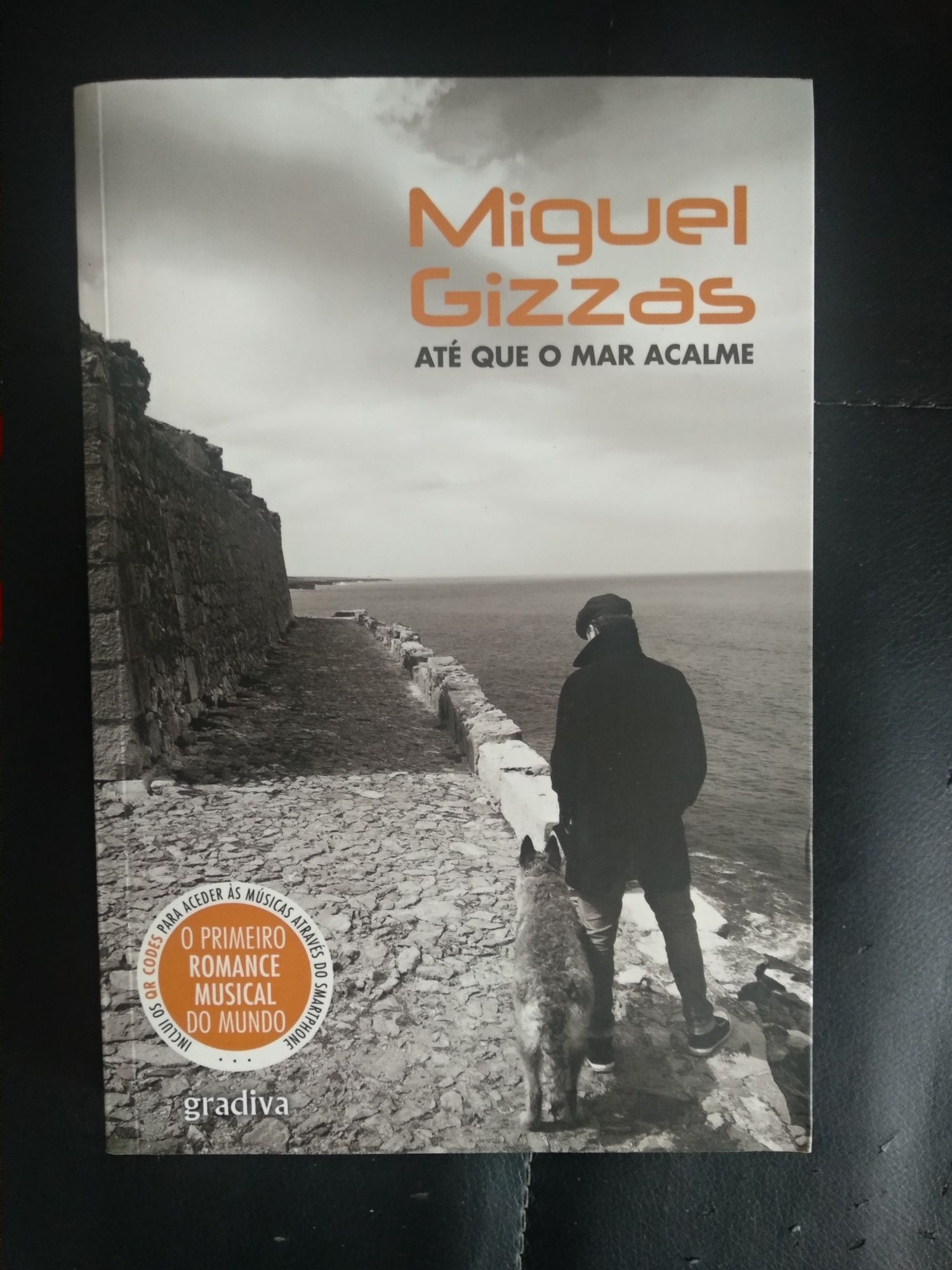 Vários livros de temas diversos