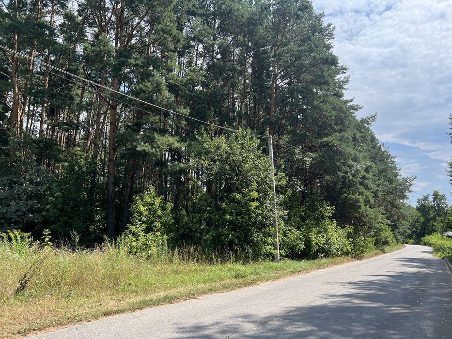 1га соснового лісу під буд-во с.Хлепча