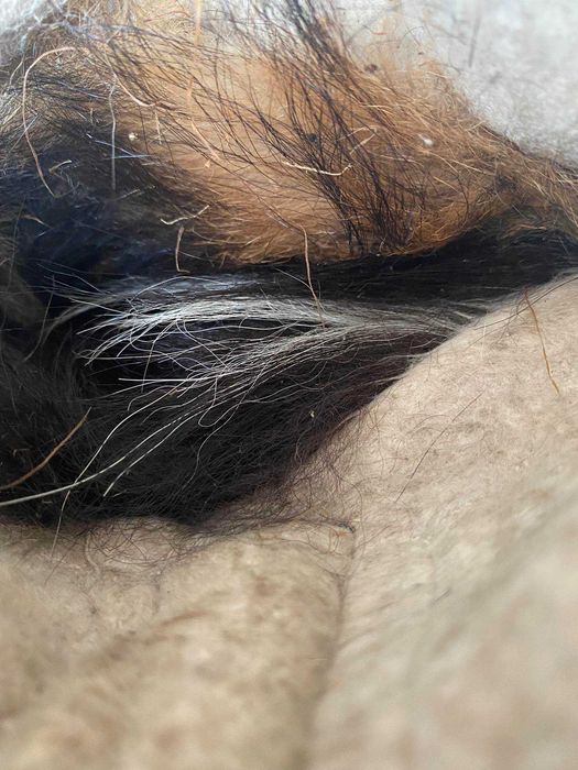 Чоботи шкіряні офіцерські на меху 41 розмір