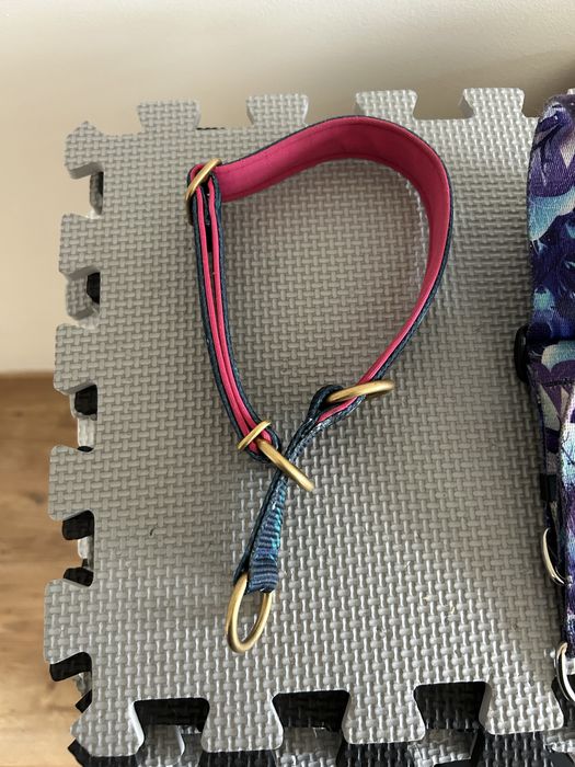 obroza weehe dla psa m