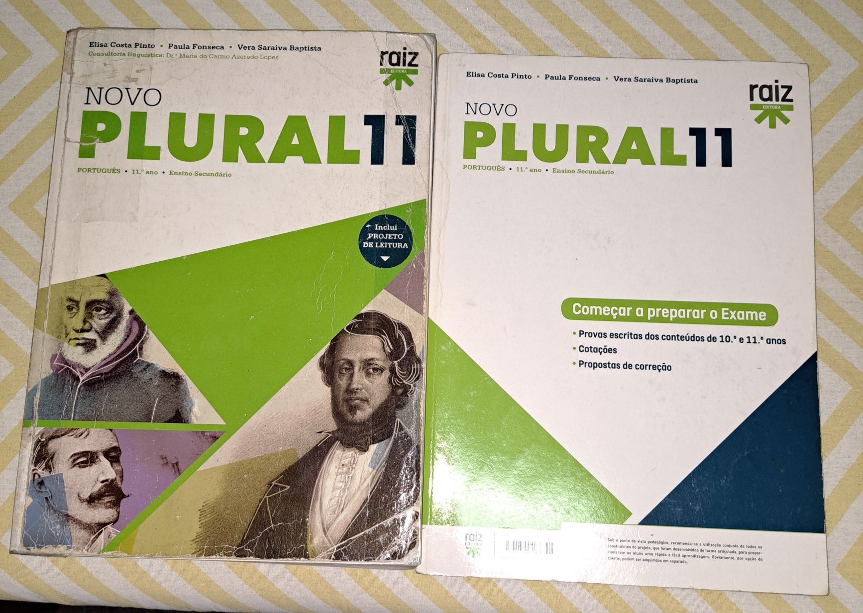 Novo Plural 11  -  manual de Português