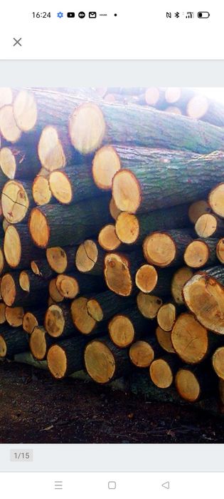 Drewno opałowe olcha brzoza