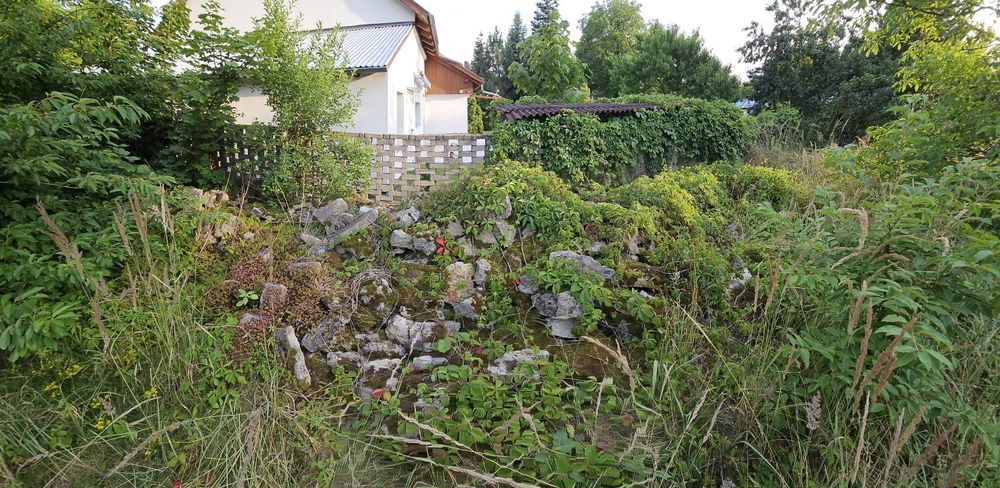 Oddam gruz pustaki cegły
