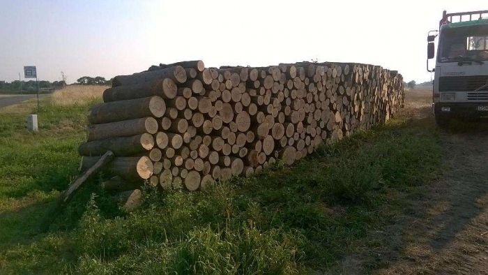 węgiel kamienny  polskie kopalnie wysoka kaloryczność drewno kominkowe