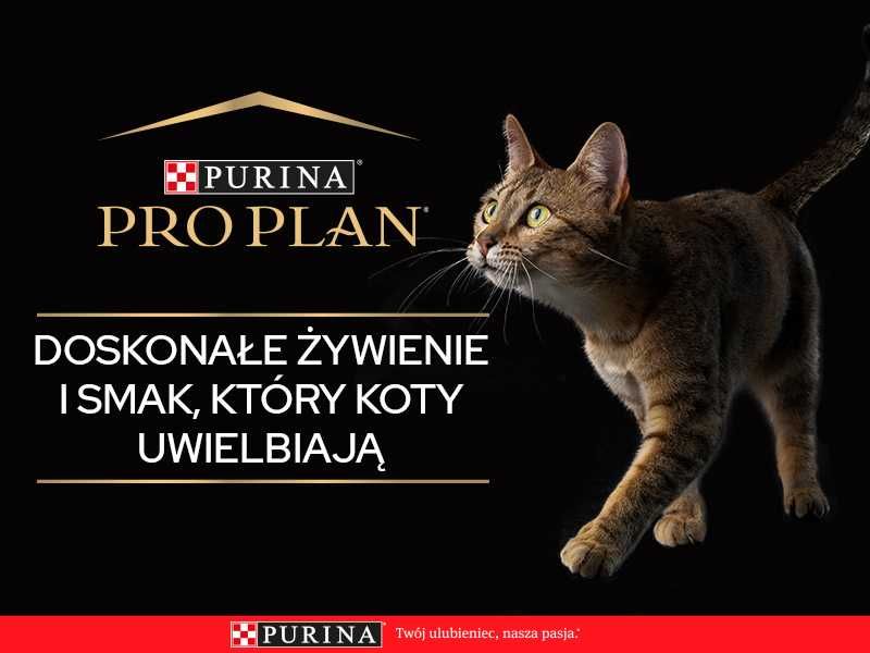Mokra karma dla Kociąt młodych kotków Pro Plan Kitten Indyk 2,21kg