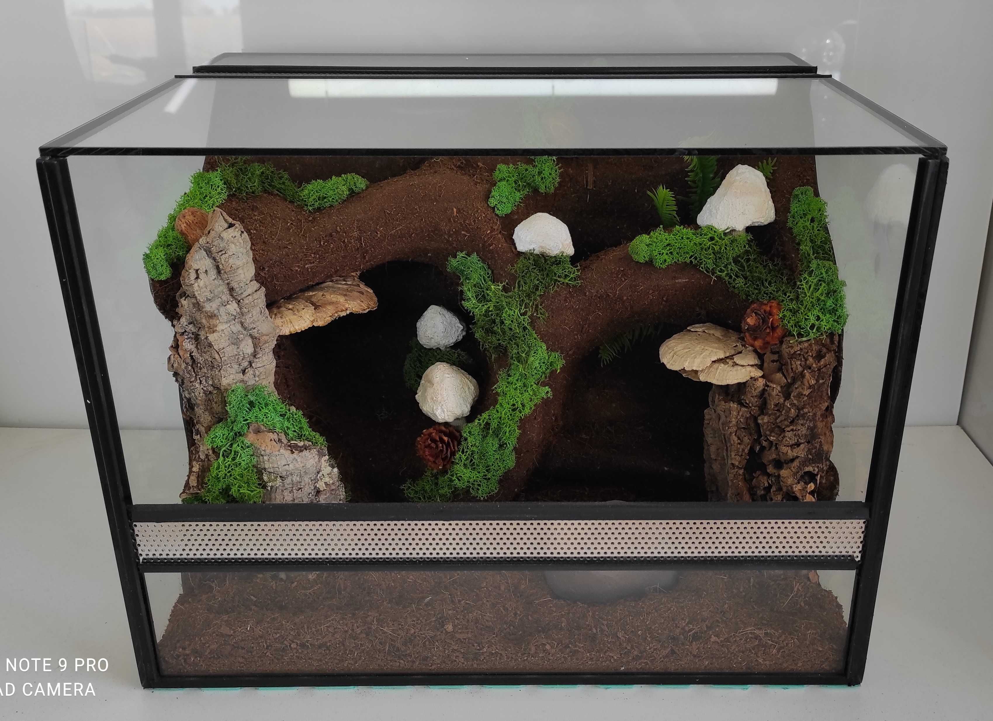 Terrarium dla pająka, lasiodory, TW01G, AquaWaves