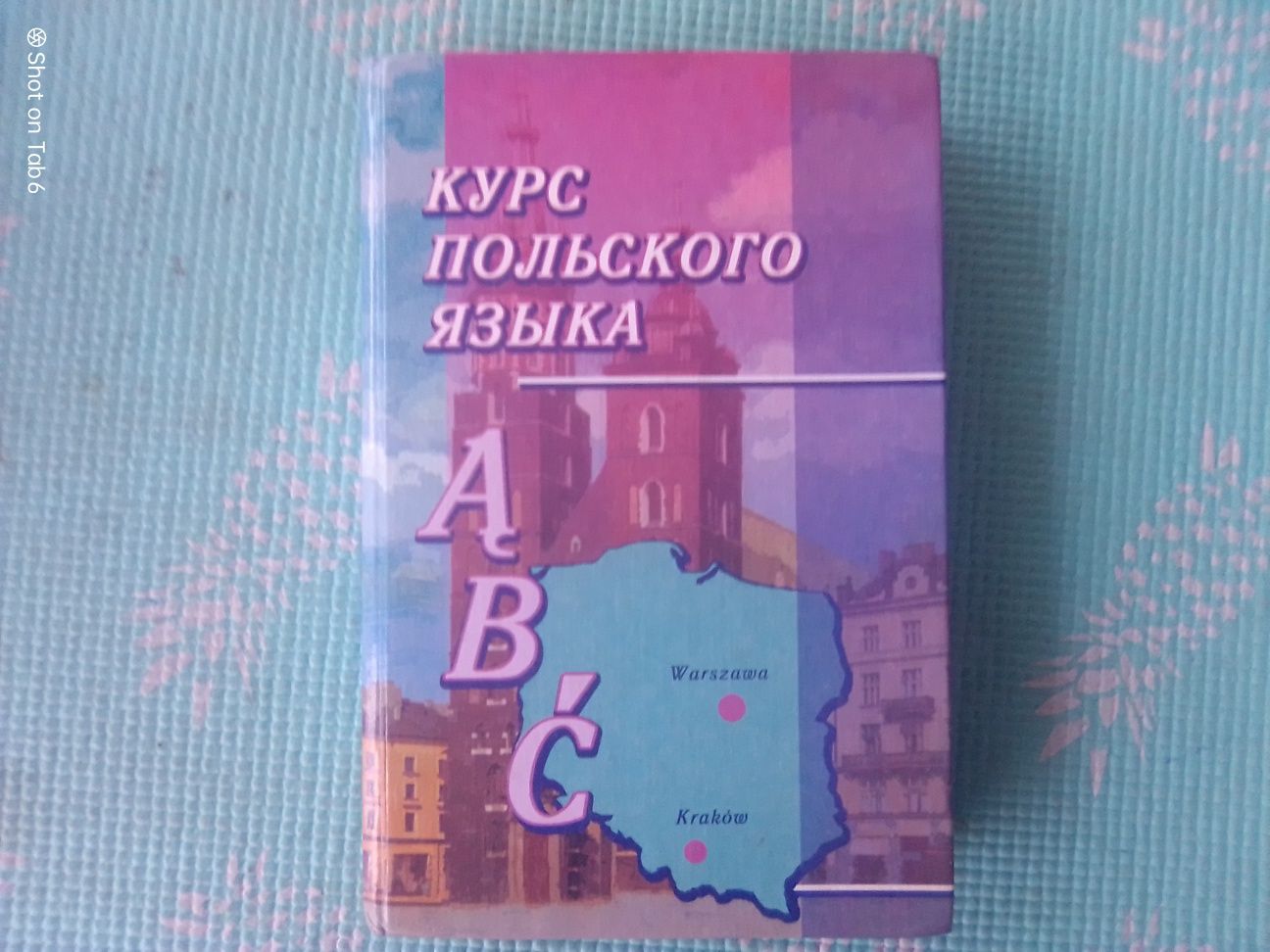 Курс польского языка. Дементьев 2003 г.