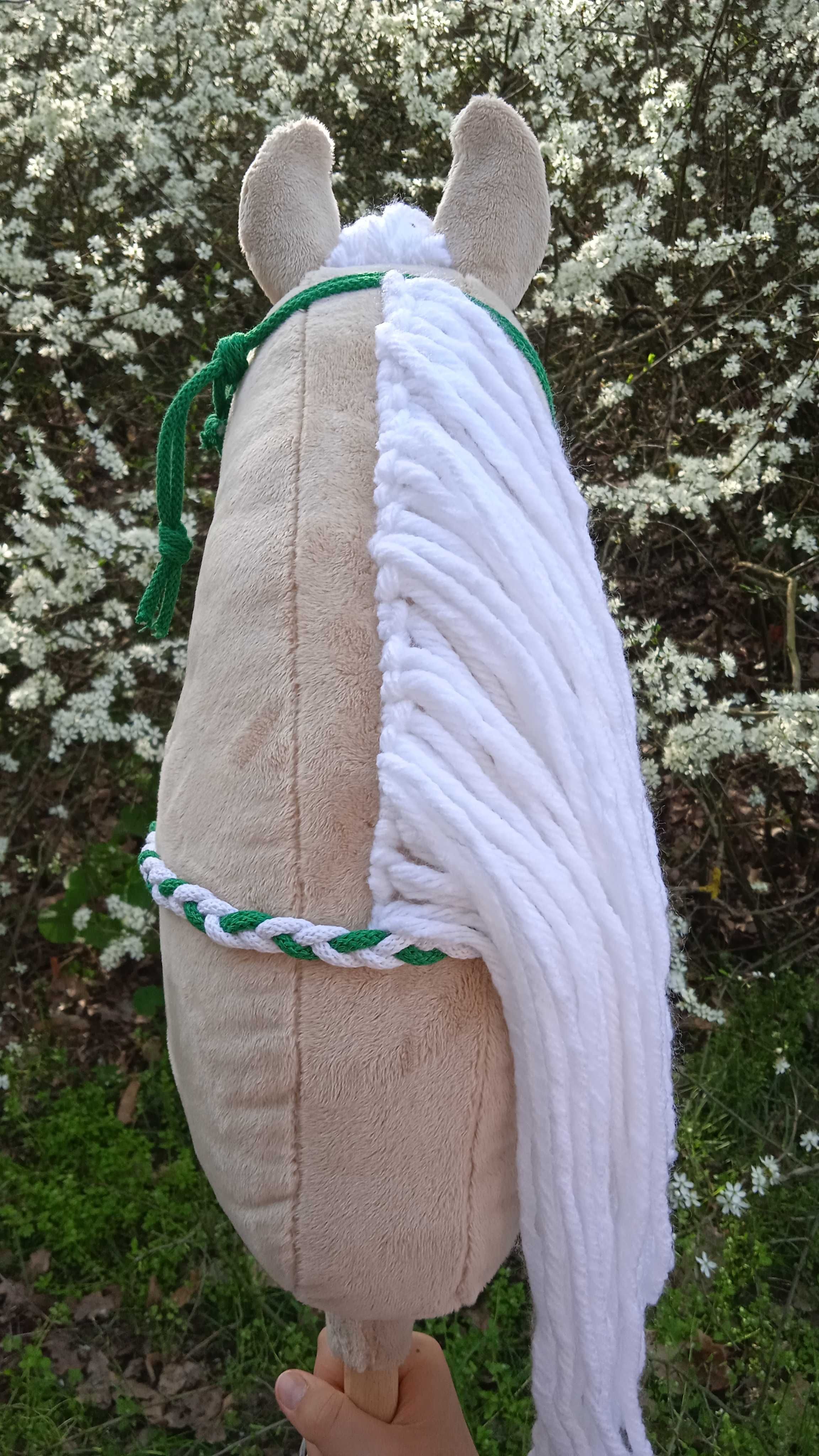 Hobby horse izabelowaty + halter + cordeo
