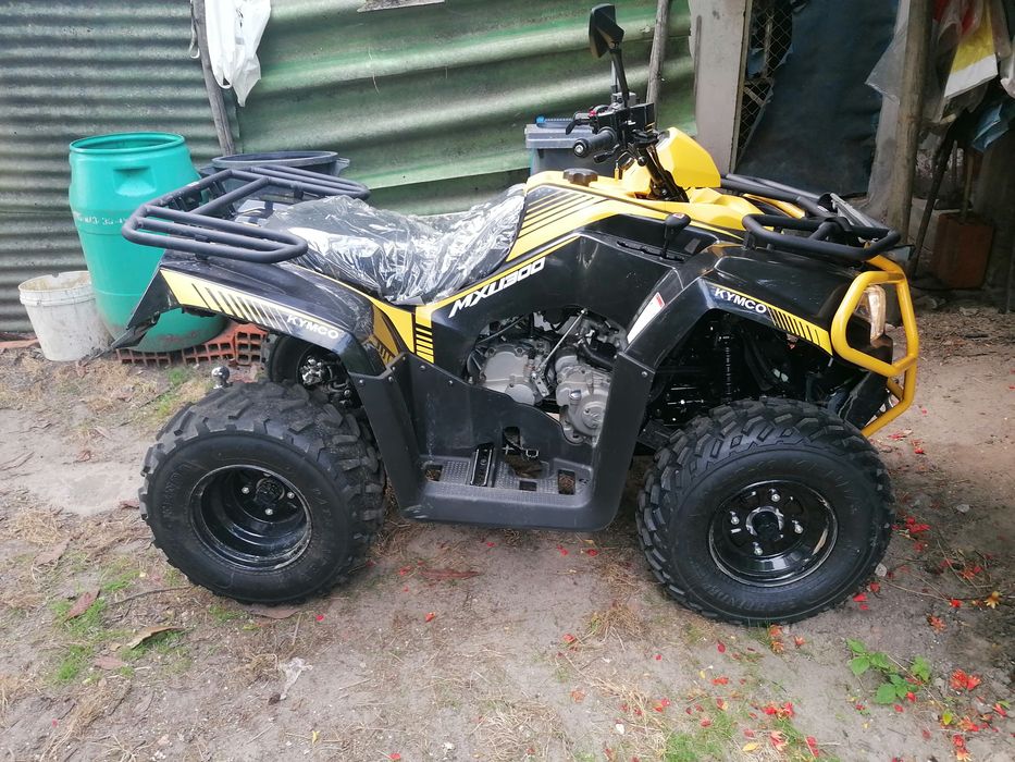 Moto 4 - 300 cc (03/2025)