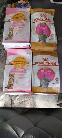Продам, корм Royal Canin для кошенят британців та дорослих британців