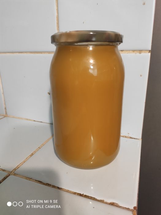 Sprzedam miód wielokwiatowy