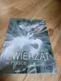 100 najwspanialszych zwierząt w Polsce