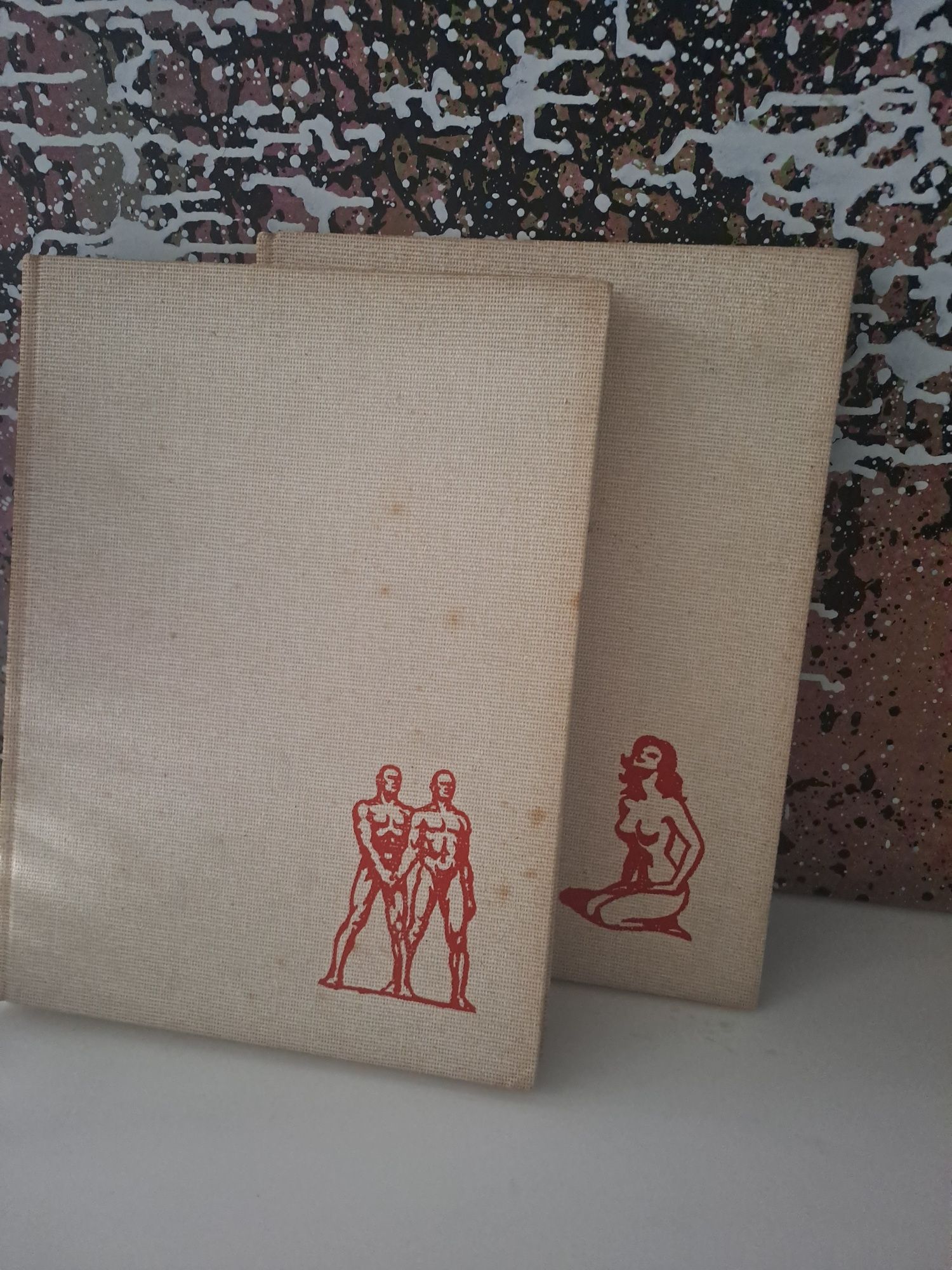 Lote 2 livros  13 euros