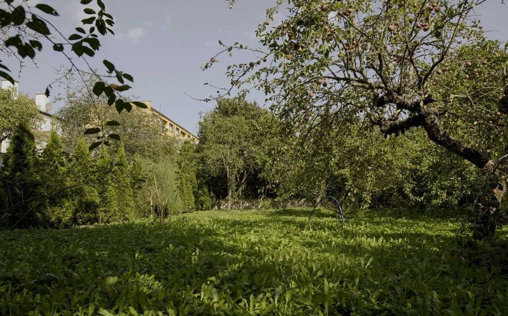 Dom z potencjałem w centrum ul. Świackiego "Sępa"