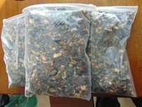 GRZYBY MIX SUSZONE Kozak+Prawdziwek+Kurka SUPER CENA 0,5KG 90zl-2024R