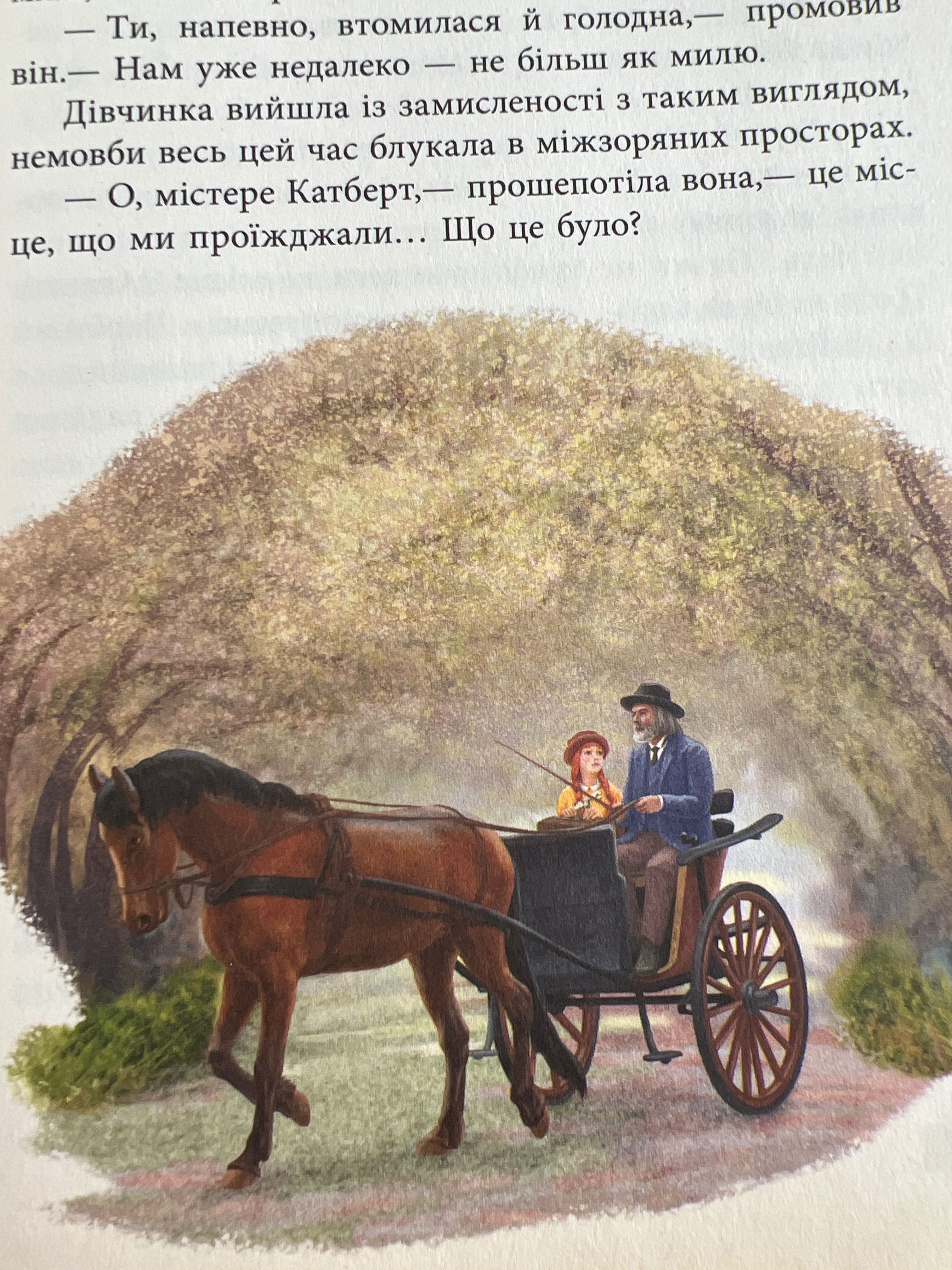 Енн із садиби Зелені Дахи, Люсі Мод Монтгомері, дитяча книга