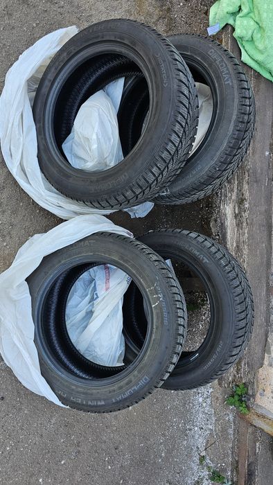 Diplomat Winter HP R16 215/55