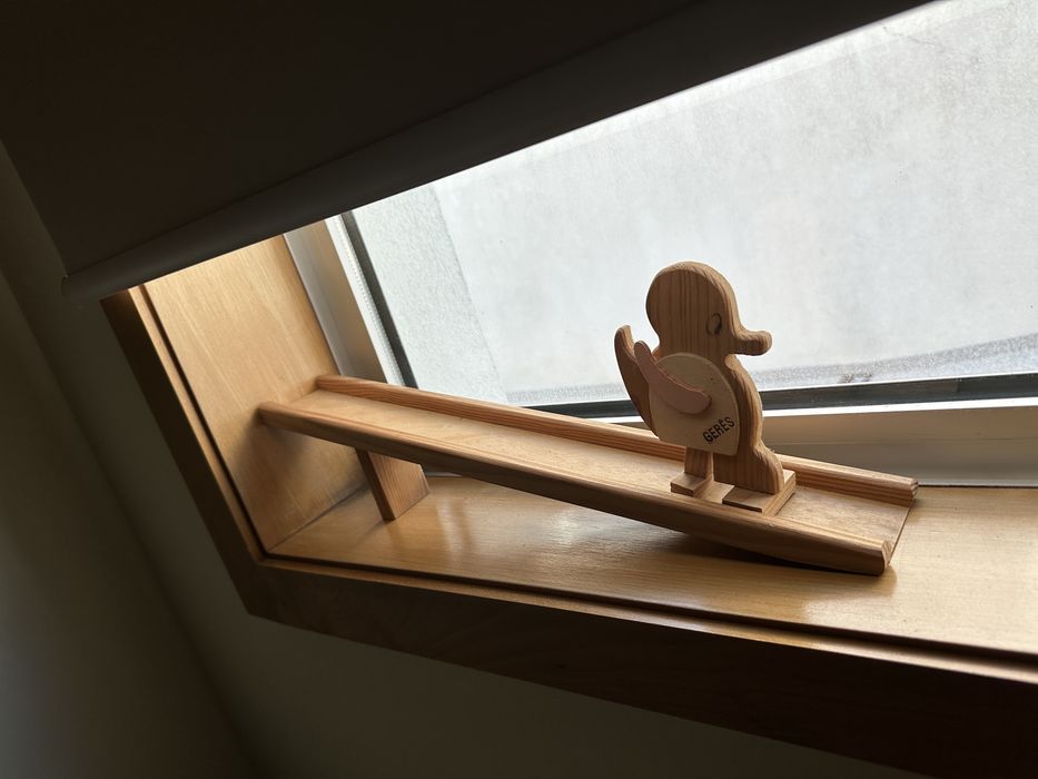 Pato madeira rampa Gerês