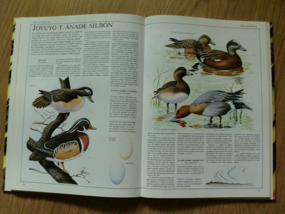 Guía completa de La Caza y el Tiro