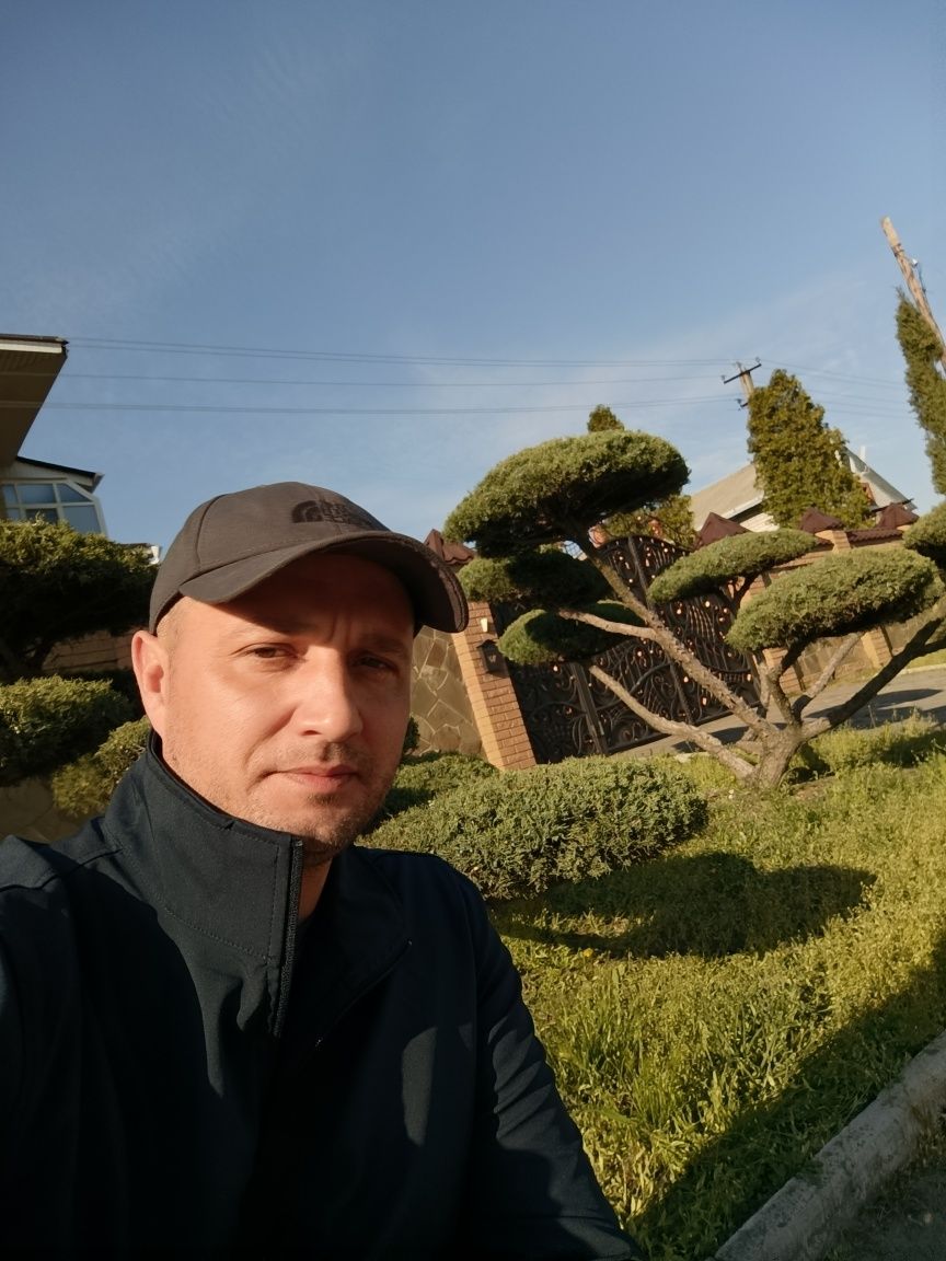 Топіарна стрижка рослин
